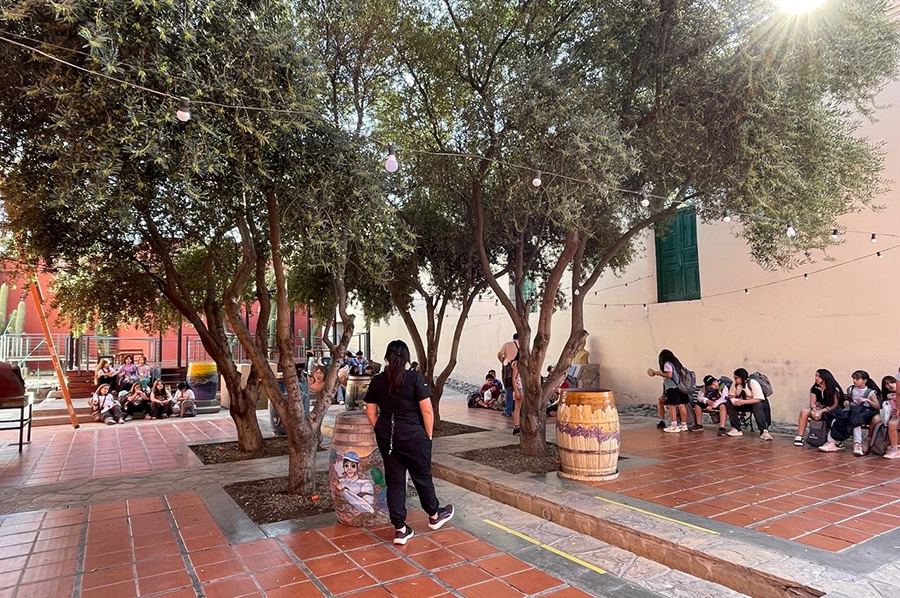 Viaje Educativo de 4º grado, Tafí del Valle, Amaicha y Cafayate Nivel Primario